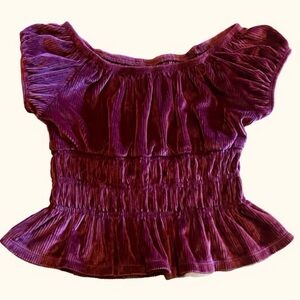 Beautiful maroon Velvet girls top puffed sleeves stretch storybook core sz 5/6